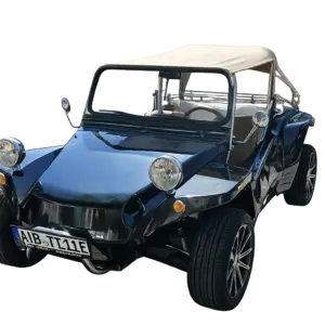 Retro Buggy V